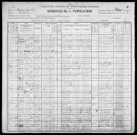 1900 United States Federal Census - Susan Shadney