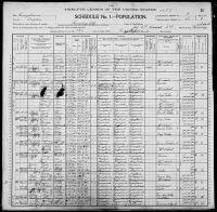 1900 United States Federal Census - William Henry Braxton I