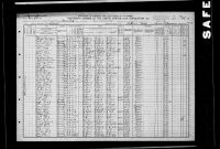 1910 United States Federal Census - Daniel Nickens