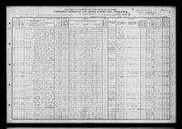 1910 United States Federal Census - Elizabeth Selena Johnson