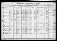 1910 United States Federal Census - Minnie Gamble