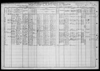 1910 United States Federal Census - Nannie Reeves