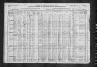 1920 United States Federal Census - Alice Davis