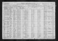 1920 United States Federal Census - Arbutus Robinson