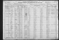 1920 United States Federal Census - Domer John Morris