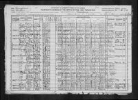 1920 United States Federal Census - George Appleberry