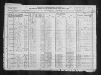 1920 United States Federal Census - Homezellah Allen