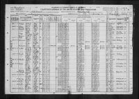 1920 United States Federal Census - John Davis