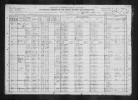 1920 United States Federal Census - Lillie Williams