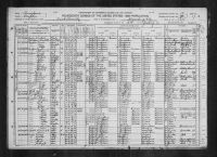 1920 United States Federal Census - Lorenzo Taylor I