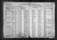 1920 United States Federal Census - Walter Scott Taylor