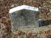 Findagrave  David O. Brown