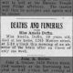 Newspapers.com - Harrisburg Daily Independent - 28 Apr 1911 - Page 11 Miss Amelia Duffin Dies of Abscess of the Brain