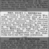 Obituary for ELIZA ZEDRICKS Zedricks