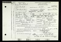 Pennsylvania, U.S., Birth Certificates, 1906-1913