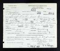 Pennsylvania, US, Birth Certificates, 1906-1913 - Albert P Quann