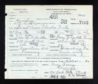 Pennsylvania, US, Birth Certificates, 1906-1913 - Mary Elizabeth Thomas