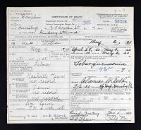 Pennsylvania, US, Death Certificates, 1906-1968 - Lindsey Stewart