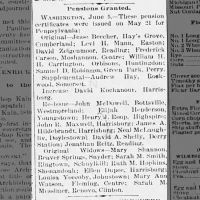 Widow's Pensions_Ellen Dupee_Harrisburg_6 Jun 1895